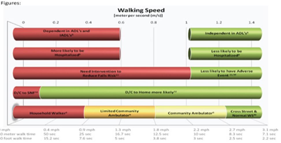 The Relationship between Gait Speed and Overall Health