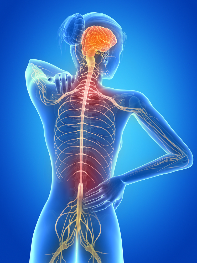 medical 3d illustration female having backache