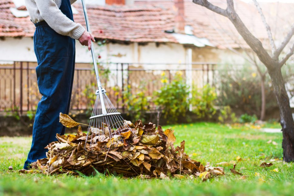 How to Rake Leaves Safely This Fall