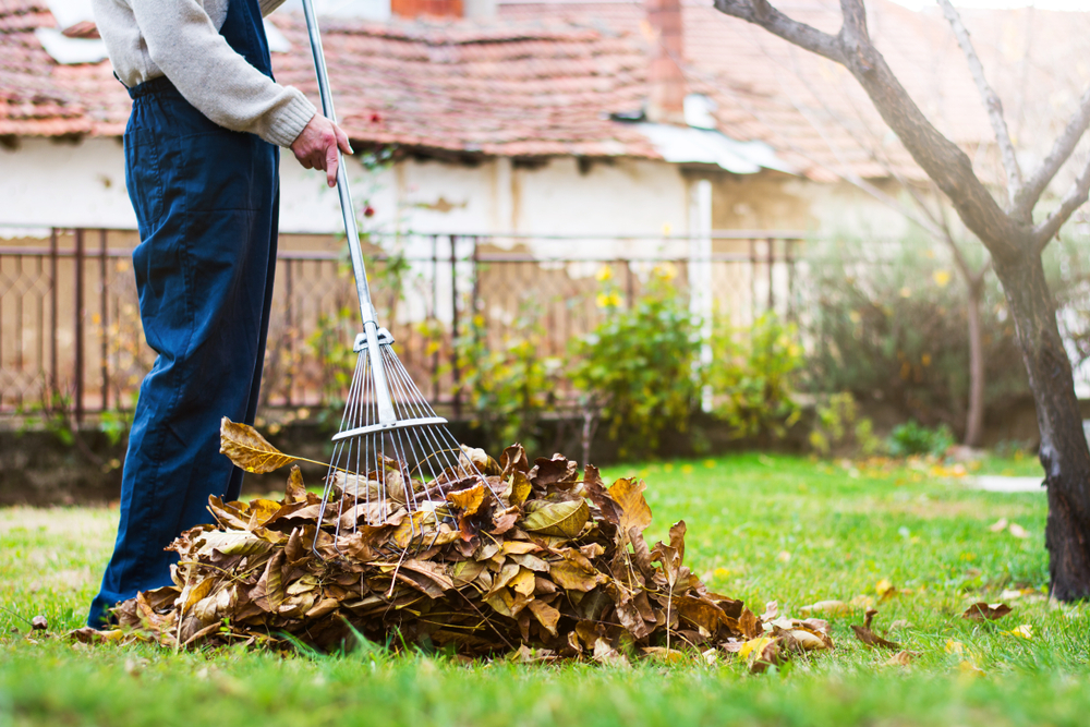How to Rake Leaves Safely This Fall