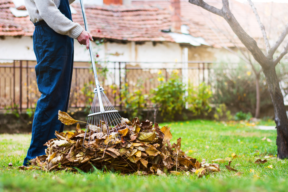 Any activity that requires repetitive actions can result in acute or chronic pain, and raking is no exception. In this post, we’ll list how you can safely rake your leaves without ending up in pain.