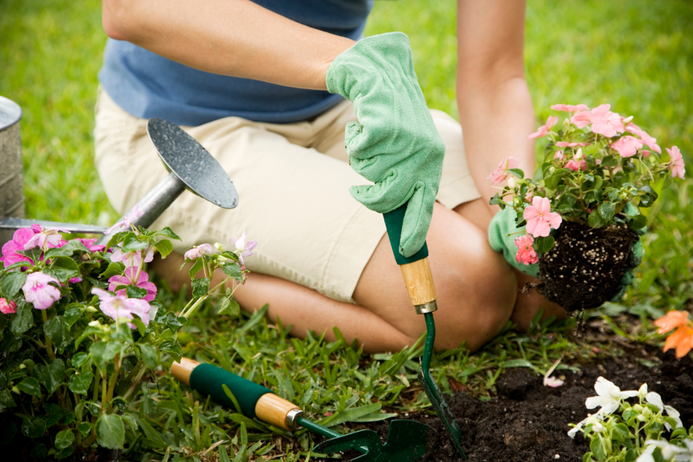 Woman gardening in springtime